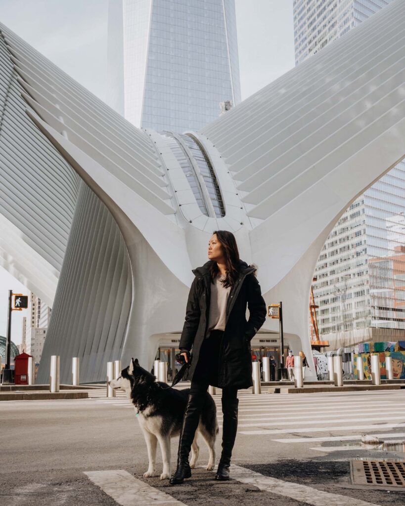 Siberian Husky and girl standing in front of the Oculus in New York City