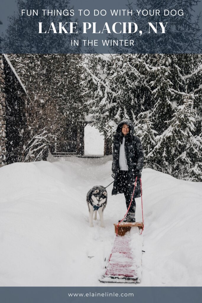 Things to do with your dog in Lake Placid, NY