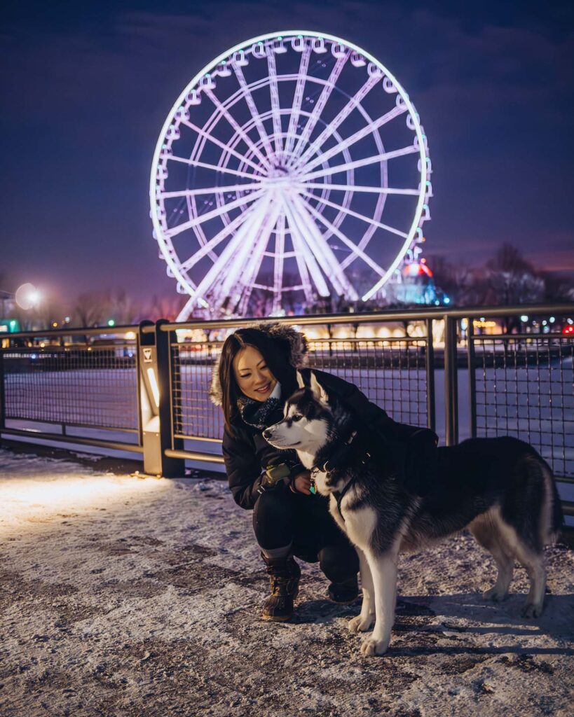 Things to do in Montreal in the winter with your dog