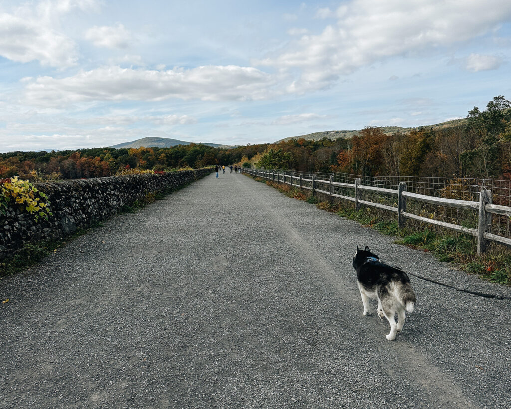 Ashokan Rail Trail Catskills New York State