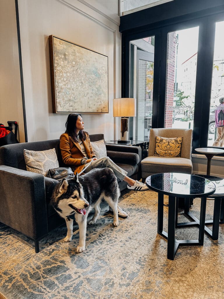 The Whitney Hotel Boston Dog Friendly