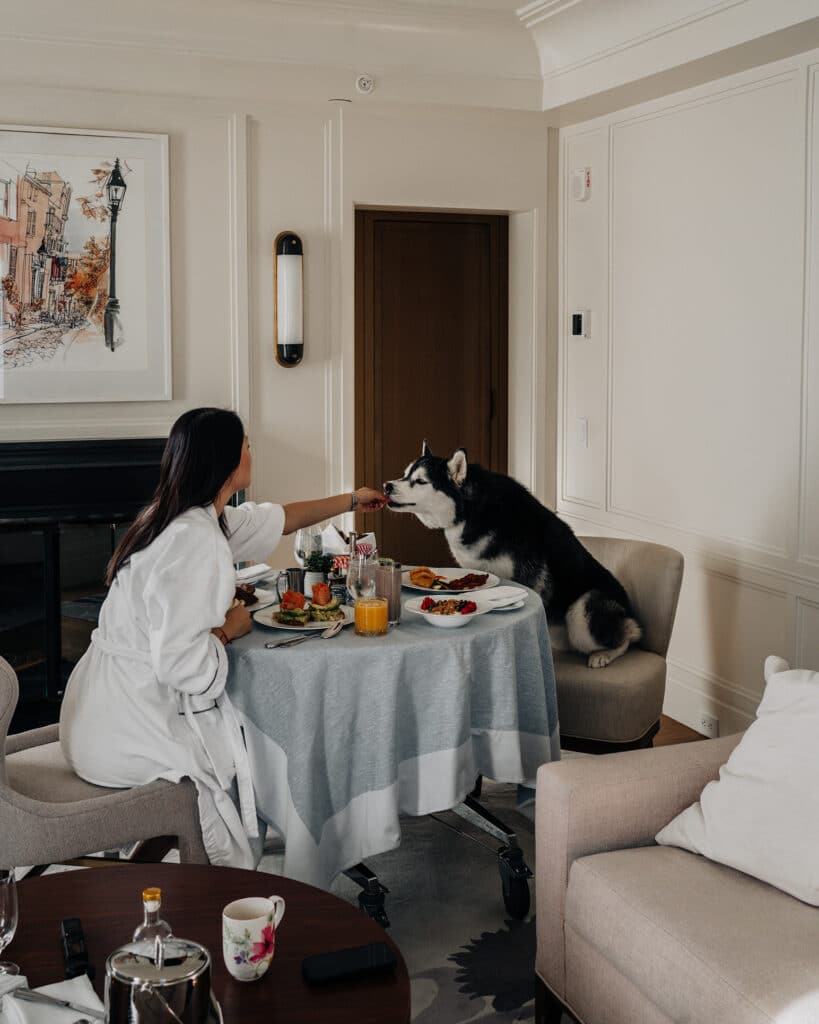 Dining at the Newbury Boston Hotel | Breakfast at Newbury Boston Hotel | Boston Dog Friendly Hotel
