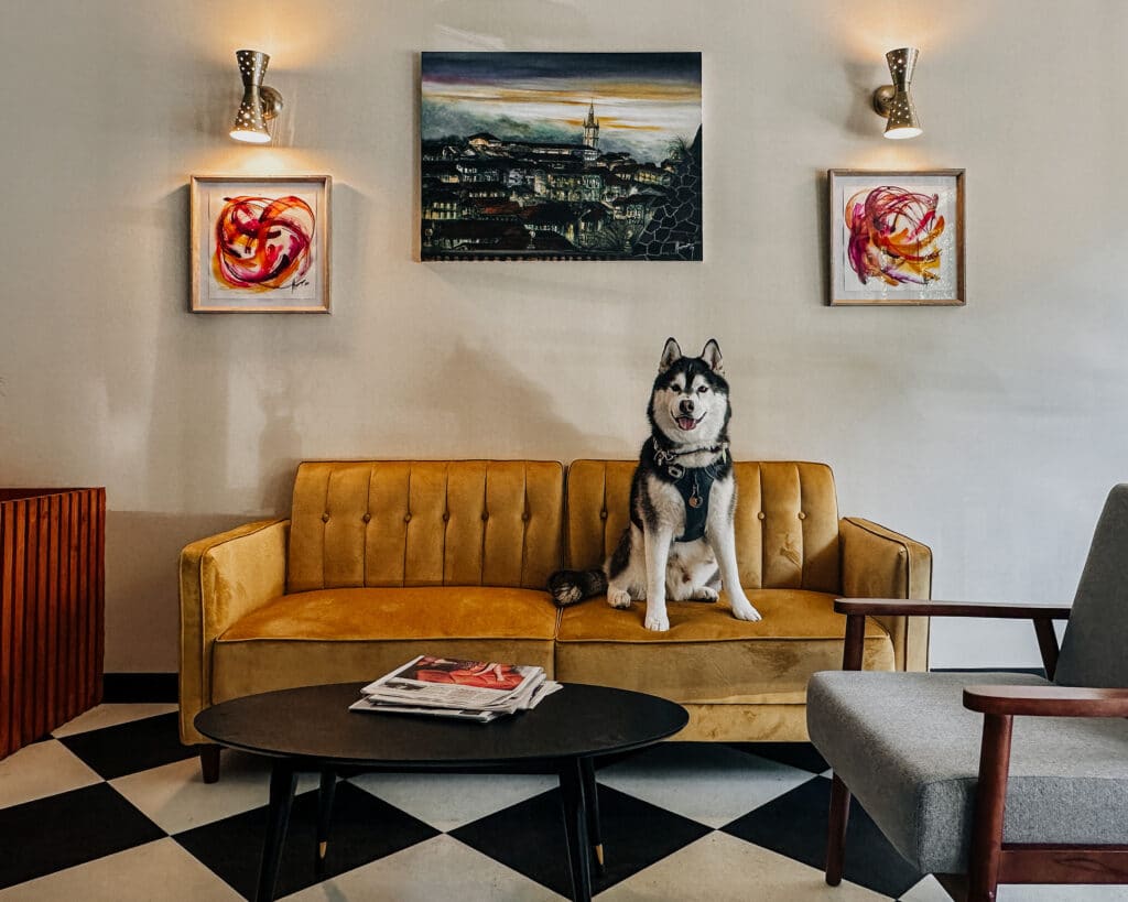 Dog Cafe in NYC - Zaruma Gold Coffee Long Island City