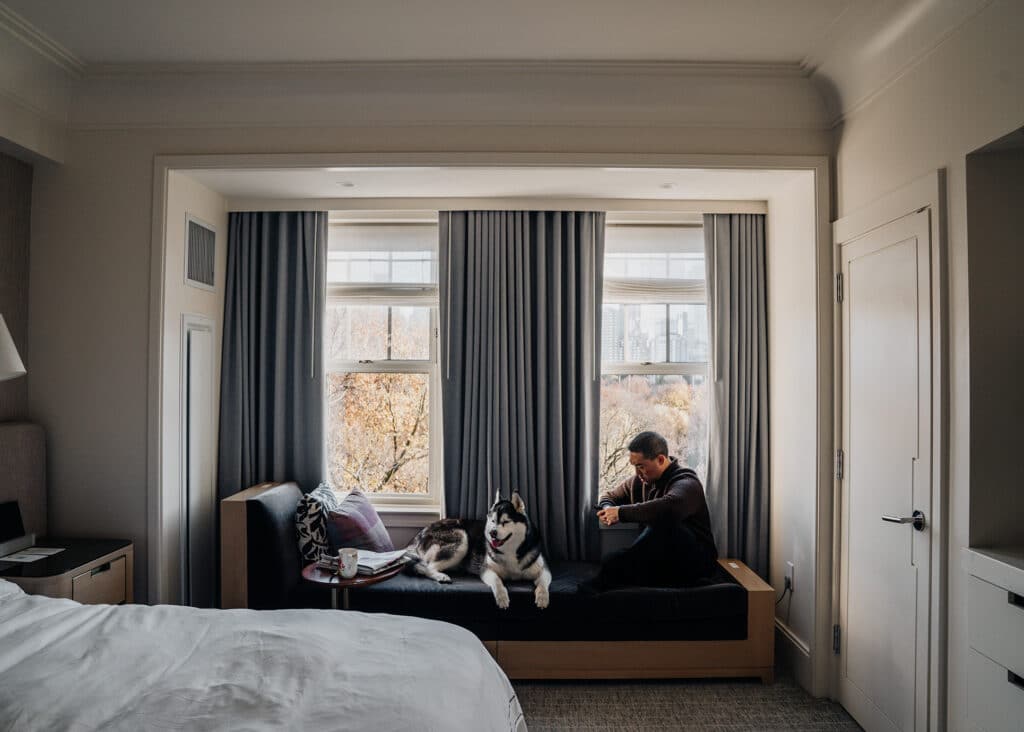 The Newbury Boston Luxury Hotel Dog Friendly