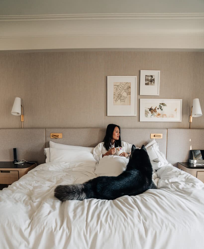 The Newbury Boston Luxury Hotel Dog Friendly