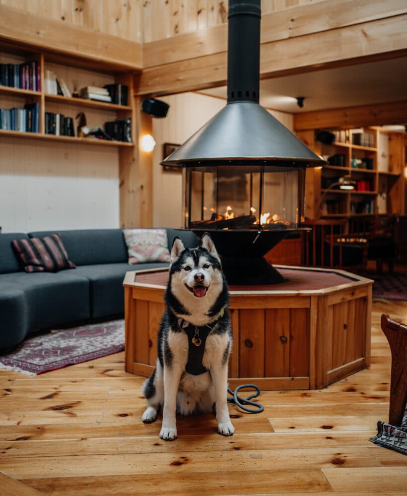 Dog Friendly Hotels in the Catskills Scribner's Lodge