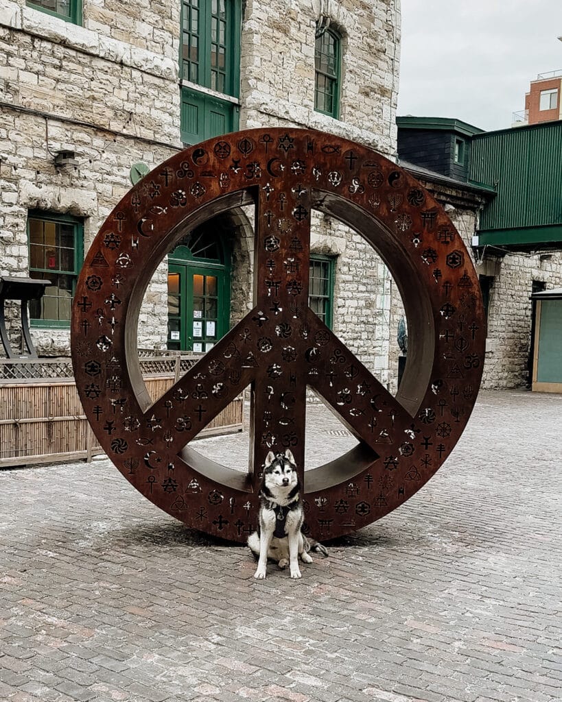 Dog Friendly Toronto Distillery District