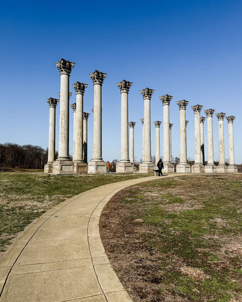 Dog-Friendly Things to Do in Washington D.C. National Arboretum