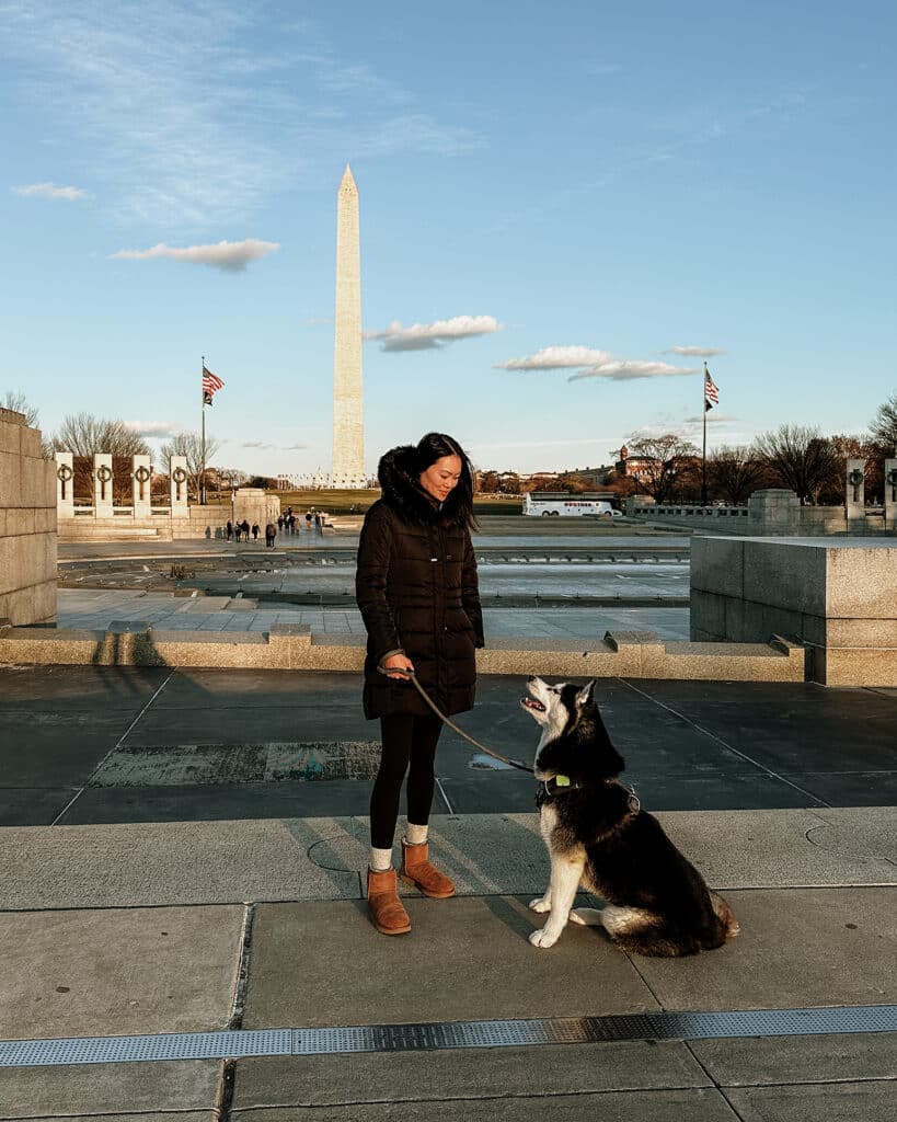 Dog-Friendly Things to Do in Washington D.C. National Monument.