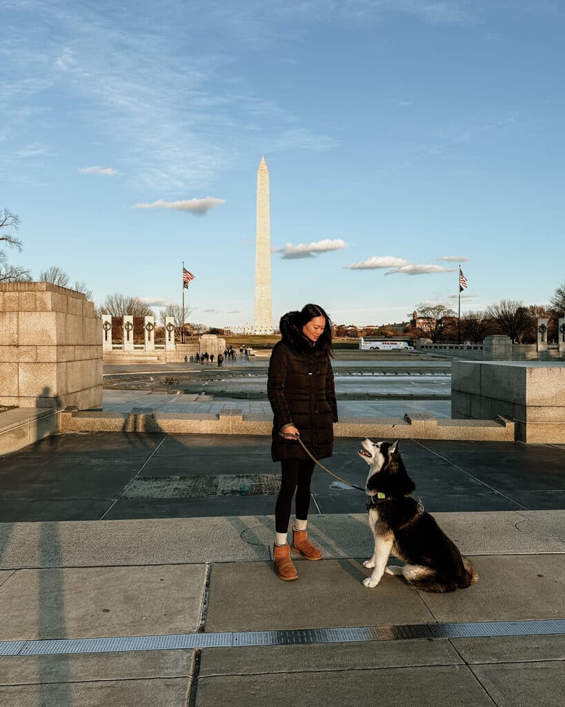 Dog-Friendly Things to Do in Washington D.C. The National Monument.