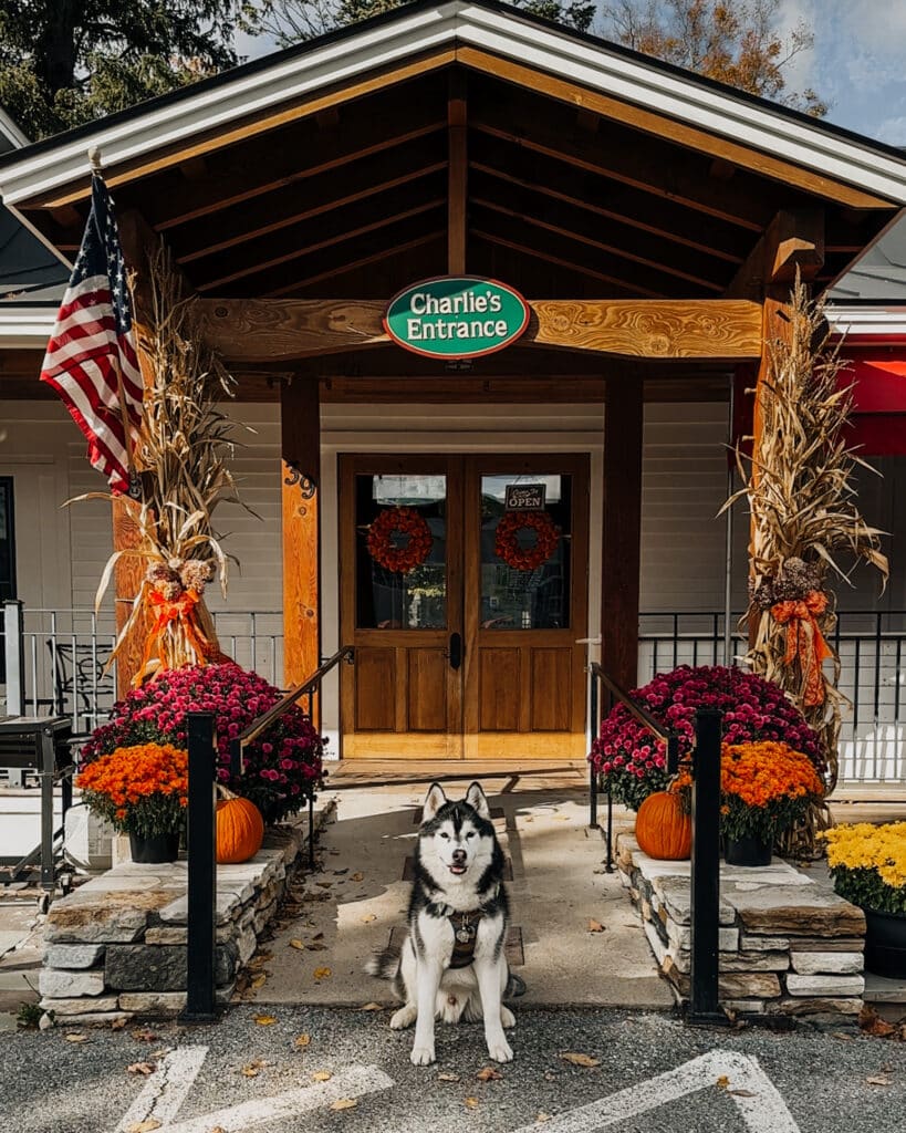 Dog Friendly Vermont Cafe Charlie's Coffee House