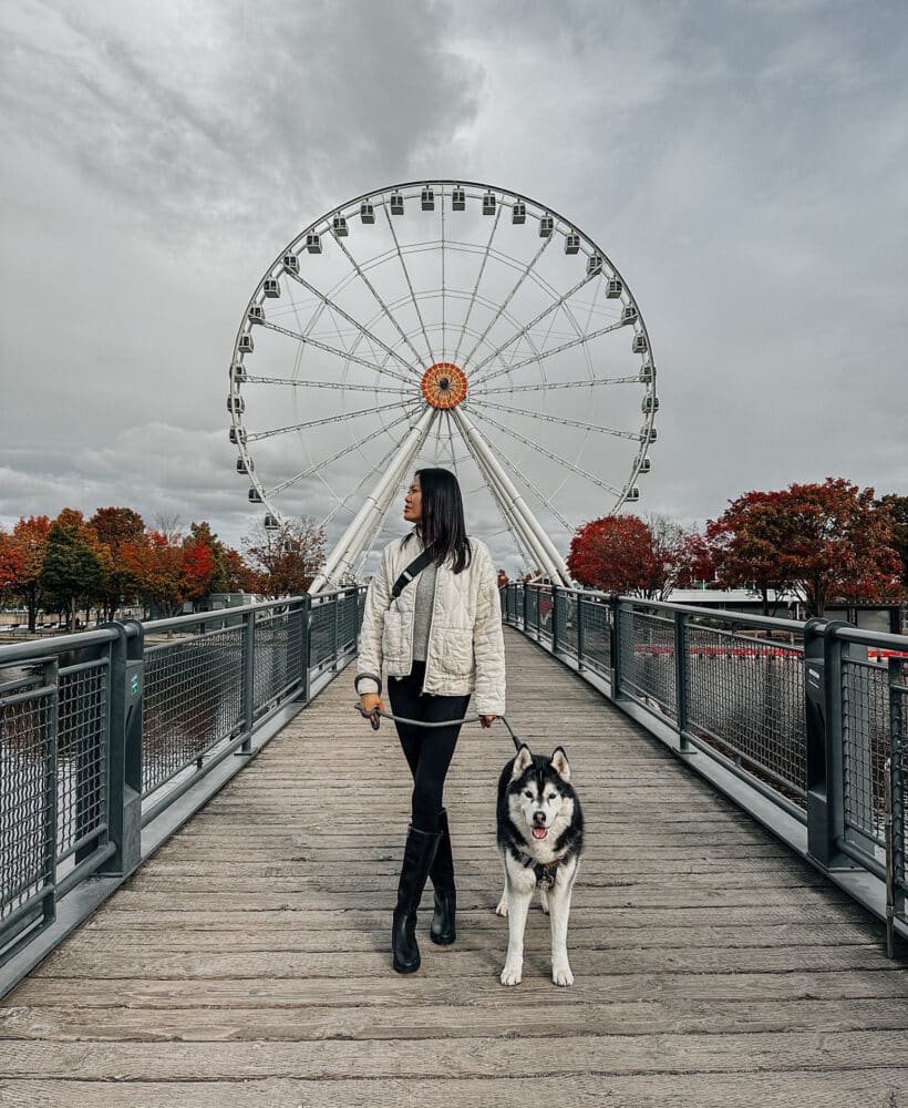 Dog Friendly Montreal Canada