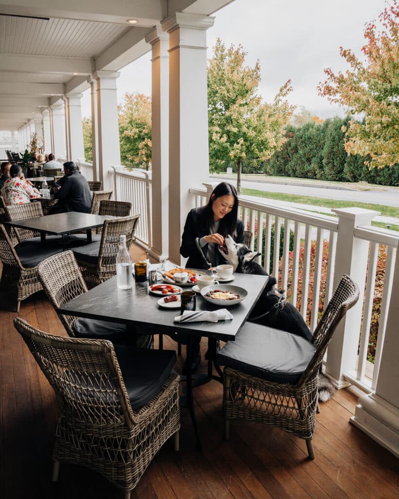 Dog Friendly Dining Vermont Copper Grouse