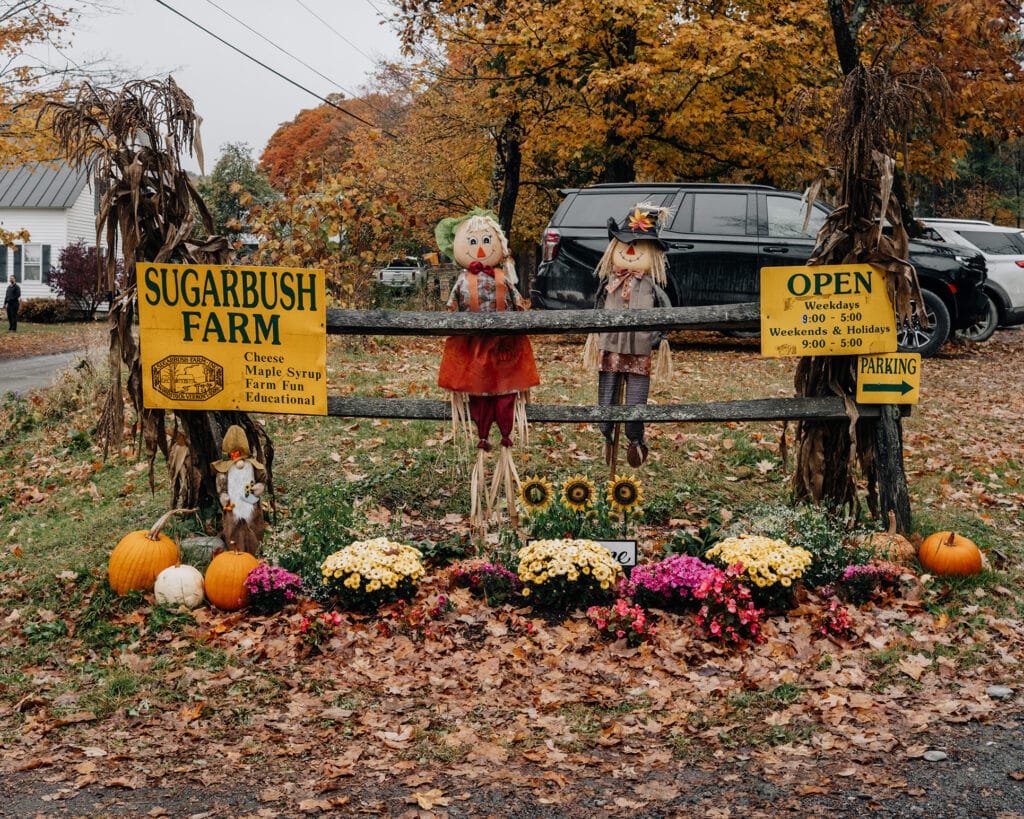 Dog Friendly Vermont Sugarbush Farm