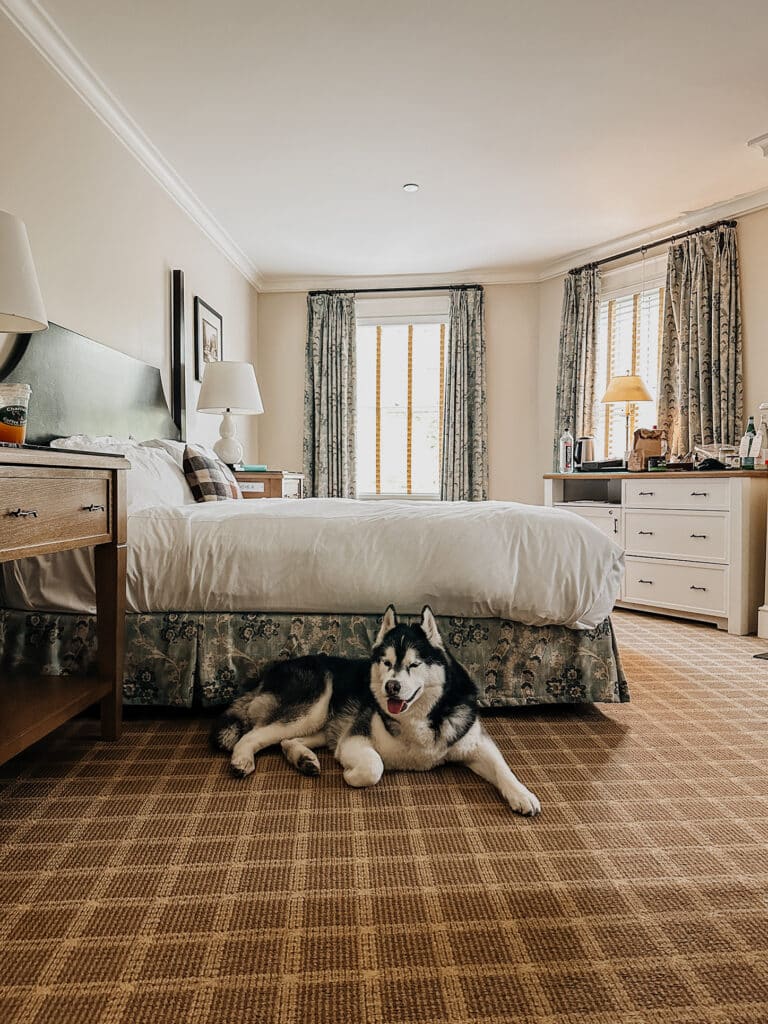 Dog friendly Vermont Hotel Kimpton Taconic Manchester Hotel