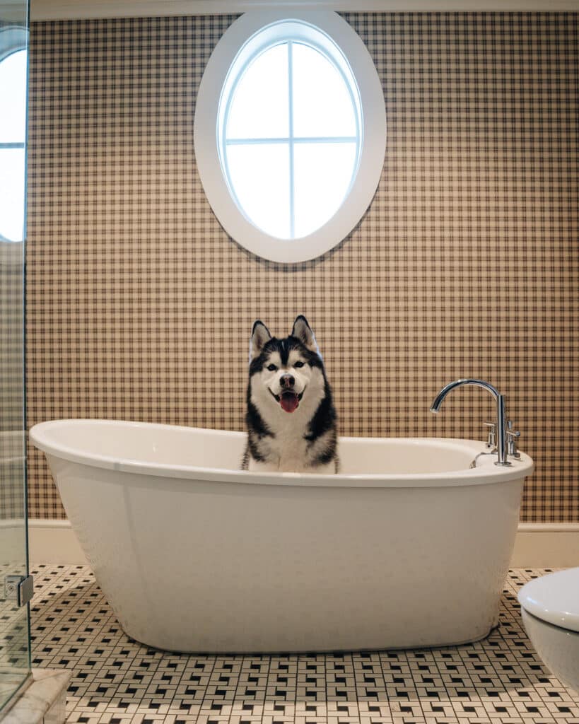 Dog friendly Vermont Hotel Kimpton Taconic Manchester Hotel