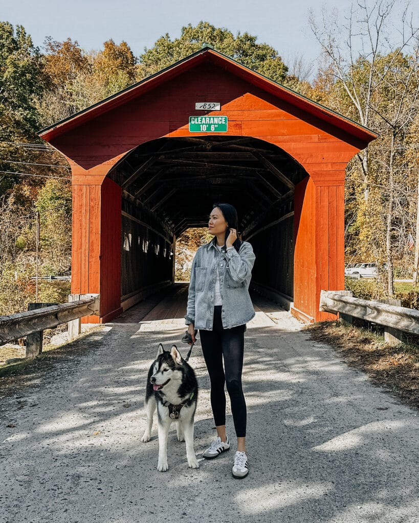 Dog Friendly Vermont Arlington Bridge