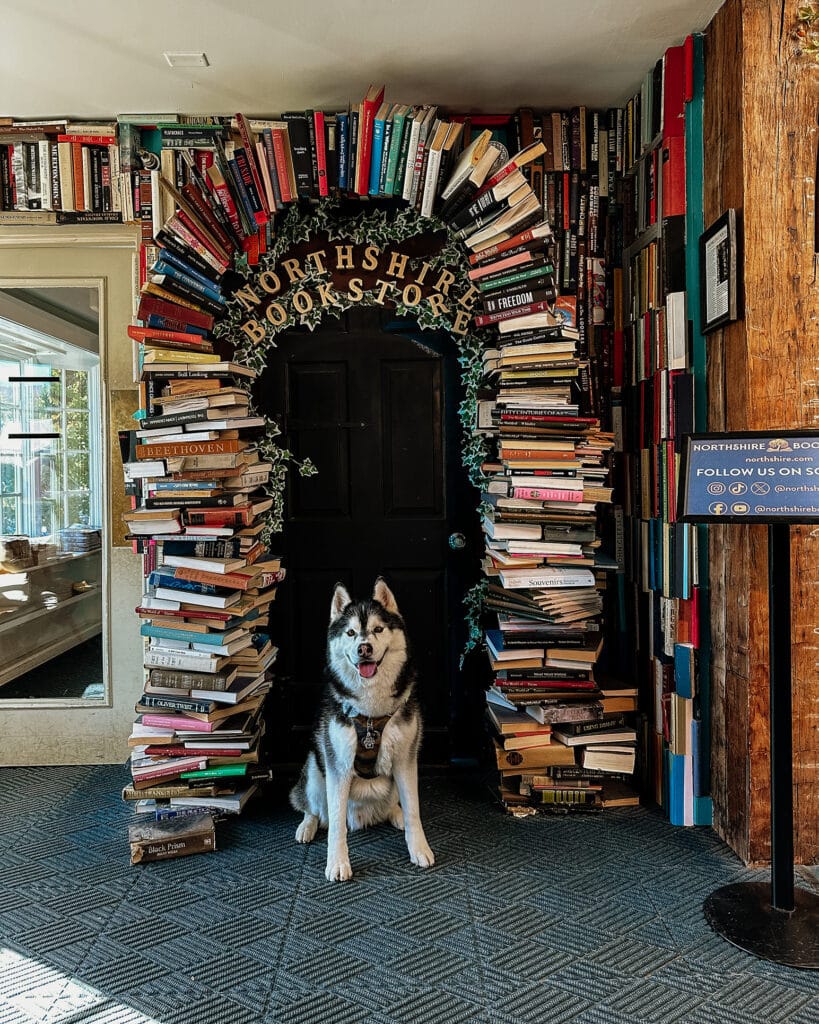 Northshire Bookstore Dog Friendly Vermont