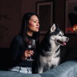 Elaine & Gatsby | NYC + Luxury Dog Friendly Travel